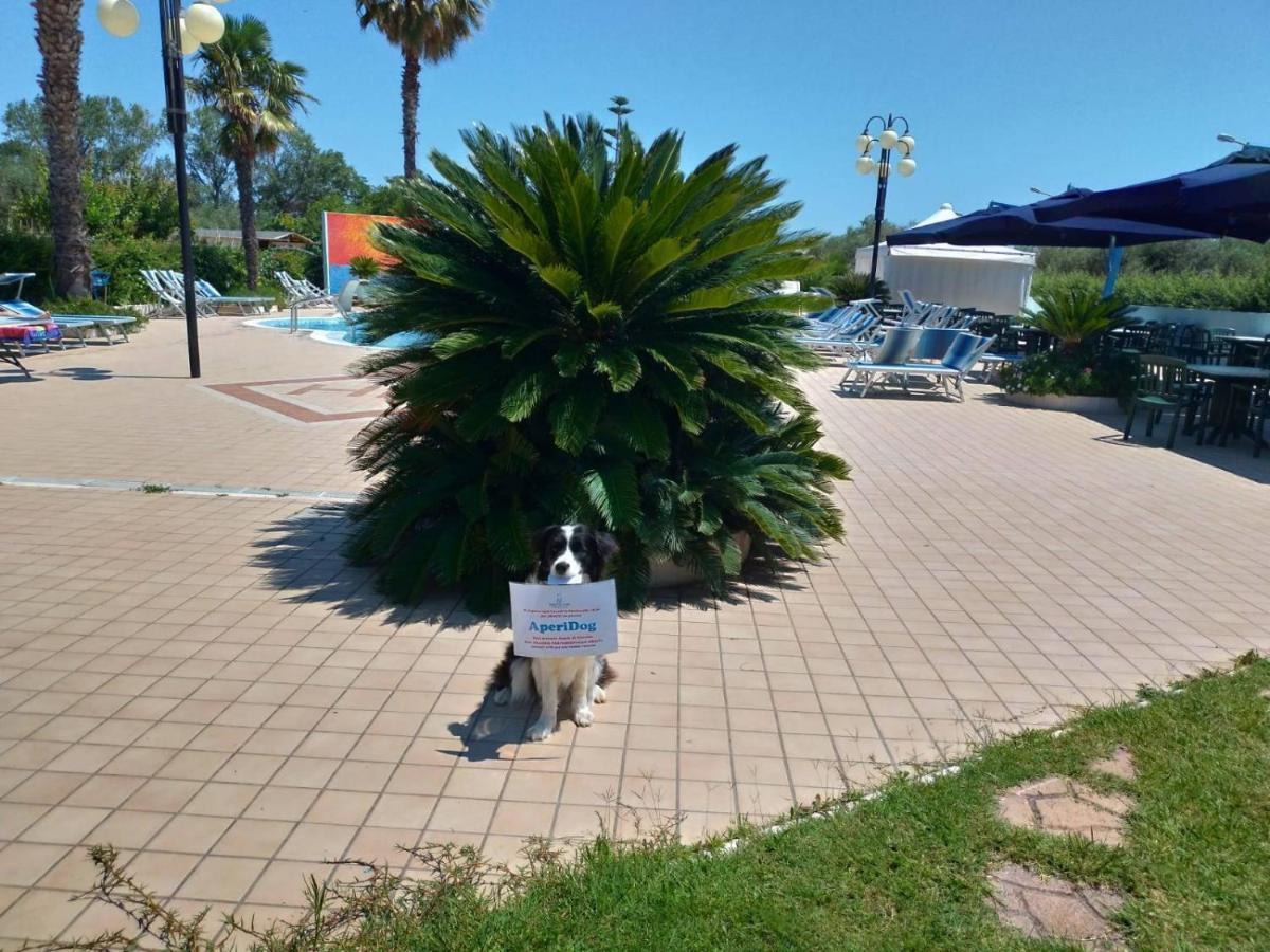 滨海酒店 阿布鲁齐的罗塞托 外观 照片
